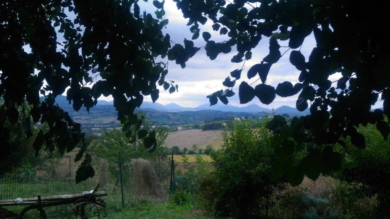 I Balzani B&B Matelica Exterior photo